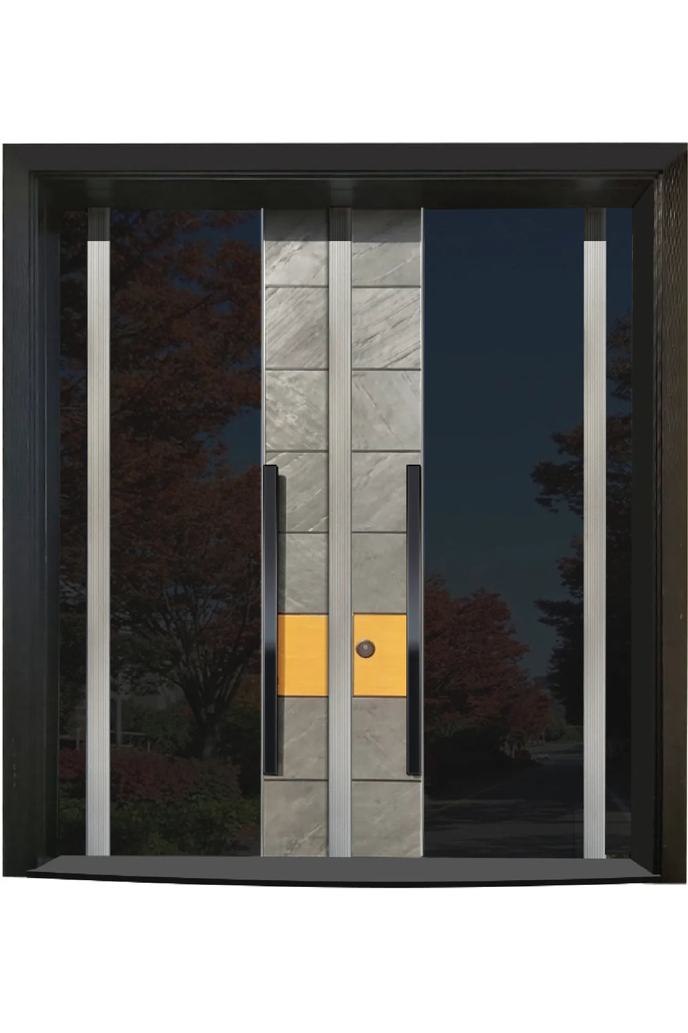 Double Series Steel Door Pierre 102 Anthracite-Glass DBL PR 102