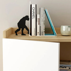 Ariane Cabinet Multipurpose Series FLY 131012