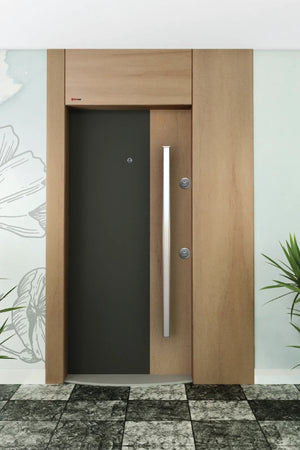 Asymmetric Series Steel Door Semi Model FLZ 117