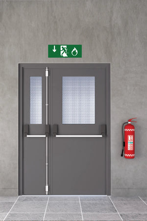 Technical Doors Series Steel Door Fire Door Small Door Lead Wiht Glass Anthracite TKN 106