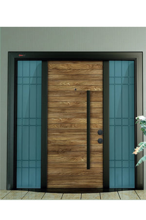 Wooden Series Steel Door Noble Natural Wood WDN 100